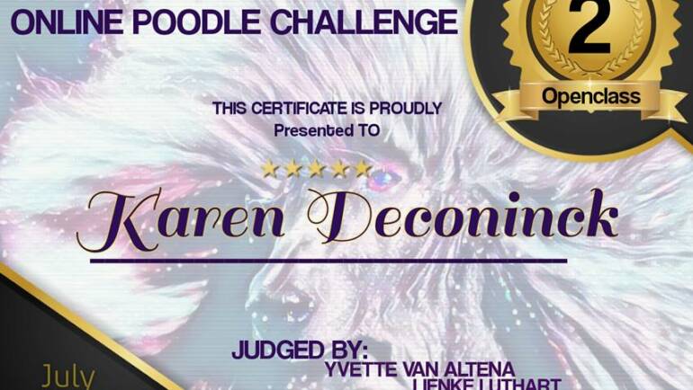Online Poodle challenge 2020